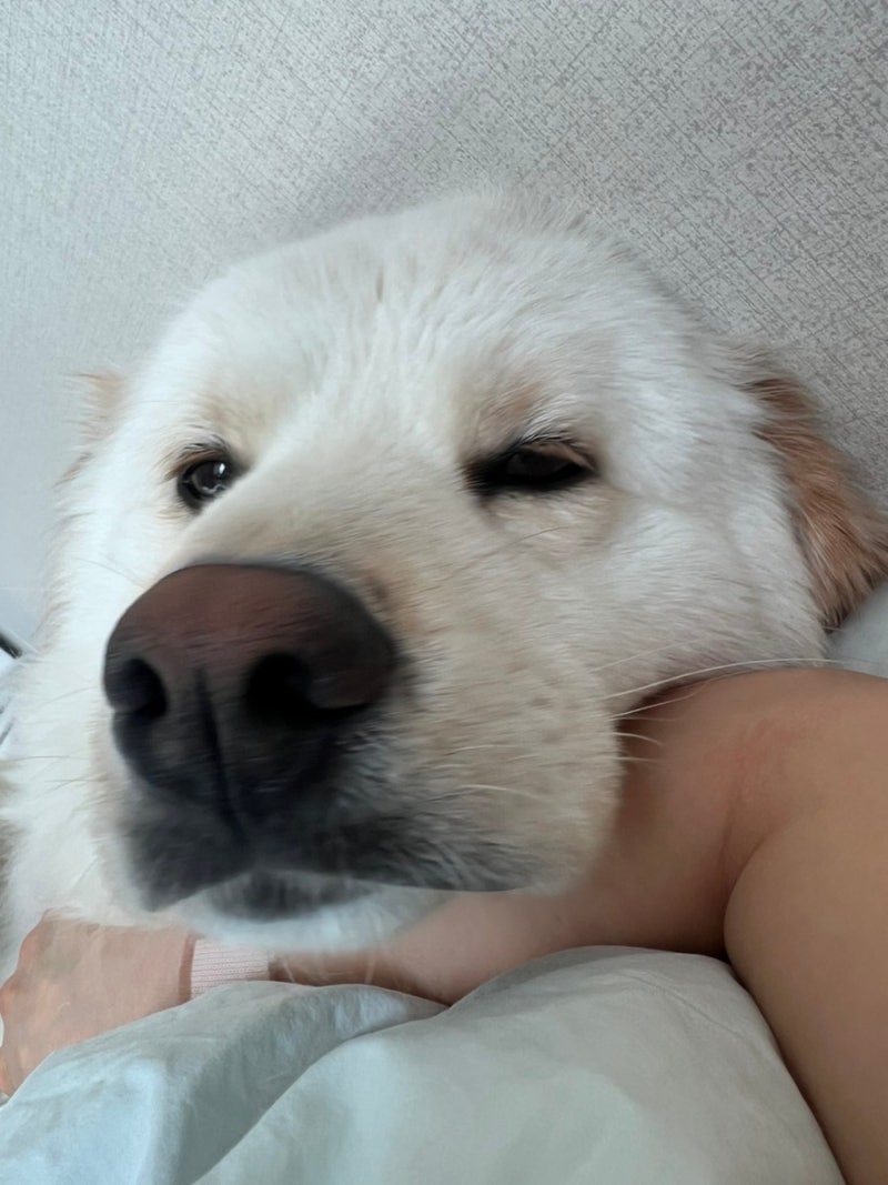 사진 6