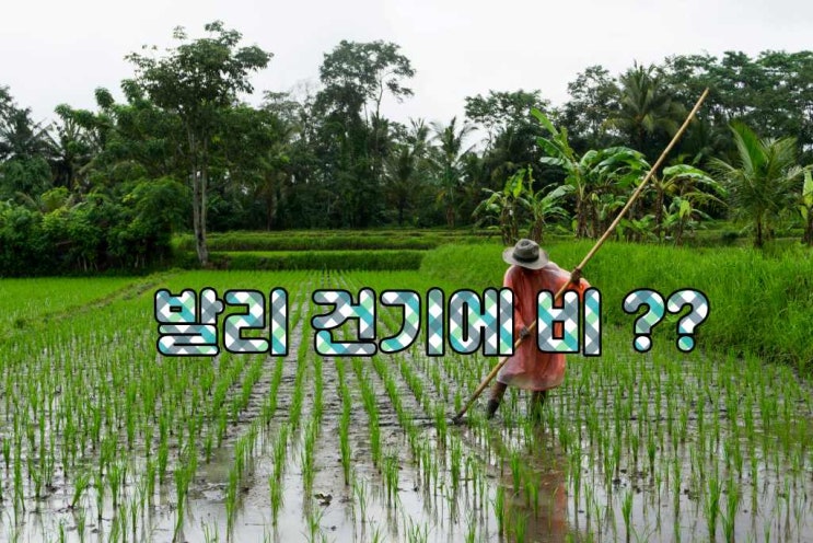  발리 건기에 왠 비??