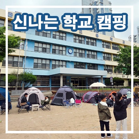  신나는 하루 학교 캠핑 즐거운 친구들과의 추억 특별한 학교 이야기