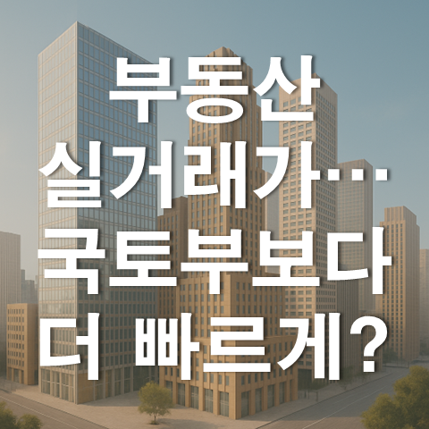  부동산 실거래가 국토부보다 빠르다고?