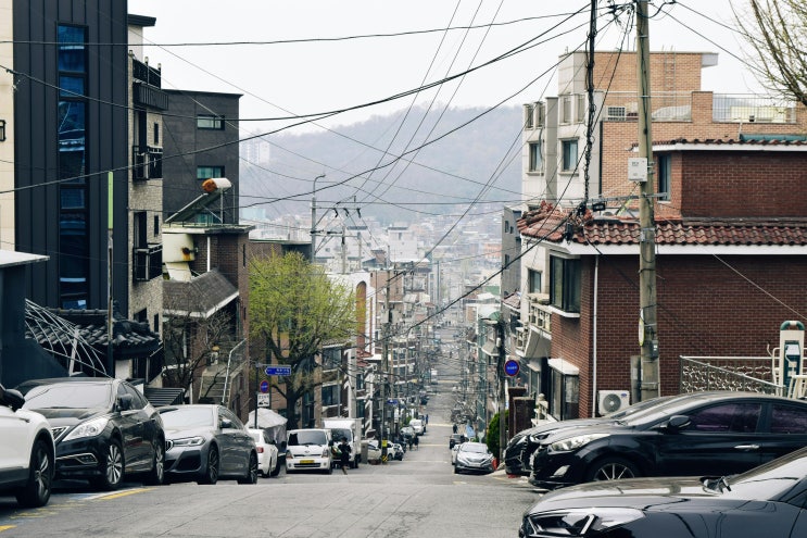 전세사기피해자 신청절차 및 지원내용