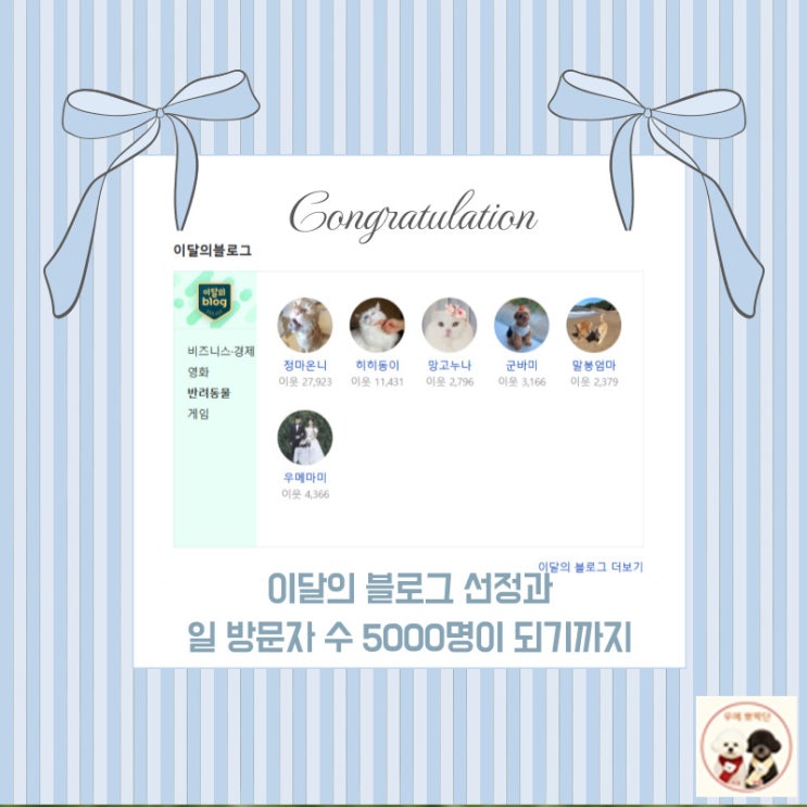  이달의 블로그 되는 법, 일 방문자수 5000명 달성한 비결은?