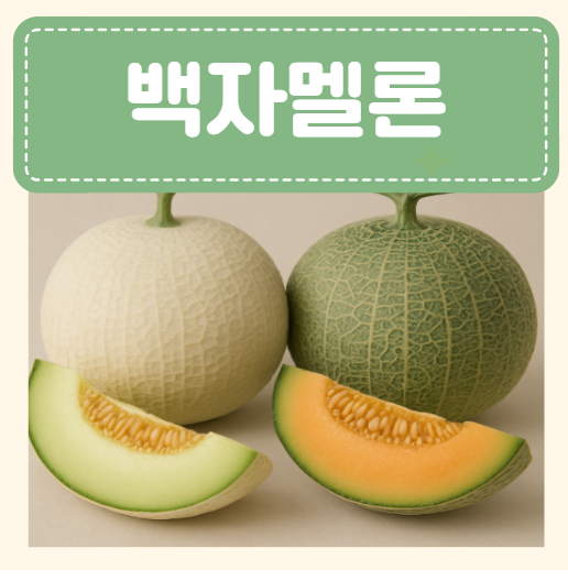 백자멜론 백자메론 효능 후숙방법 부작용