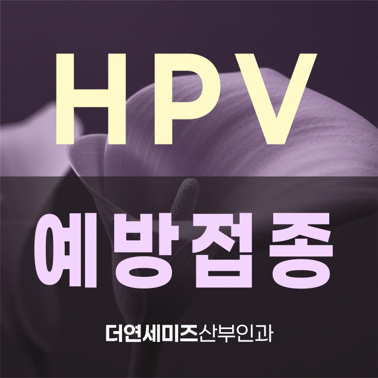  도곡역산부인과, 자궁경부암예방 HPV백신 30대에도