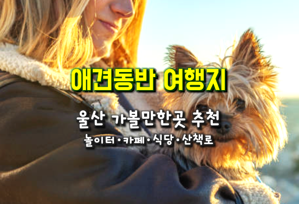 반려견과 함께 울산 가볼만 한 곳...울산 애견 놀이터, 애견동반 카페・식당・산책로