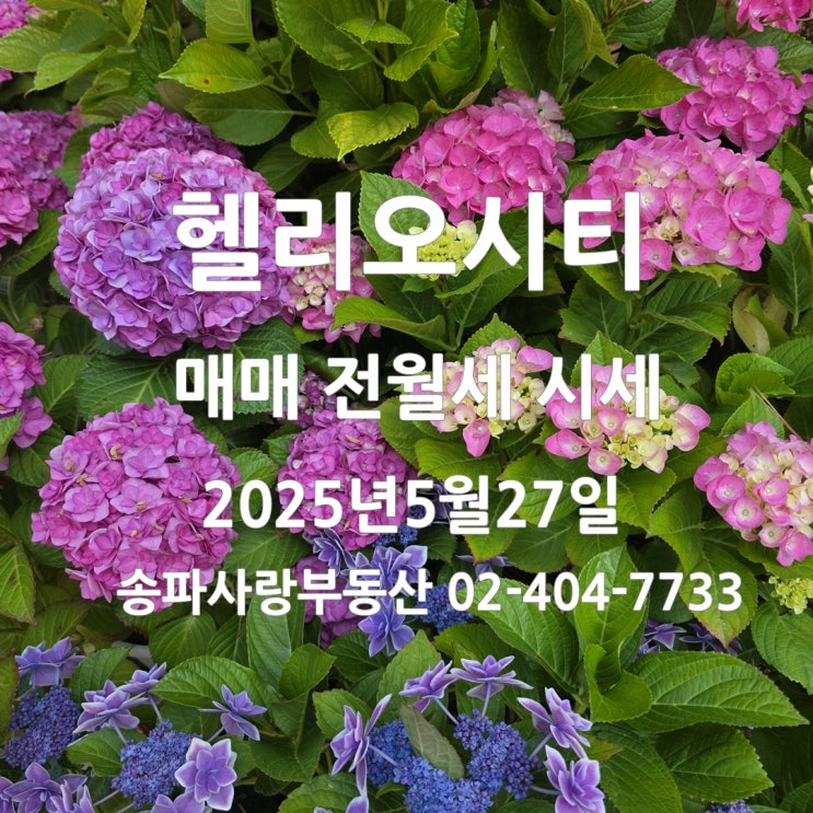  2025년 5월 마지막 주 헬리오시티 매매 전월세 시세