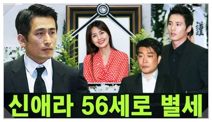  신애라 별세설 상속 재산 근황 그녀가 보여준 진짜 가족 이야기