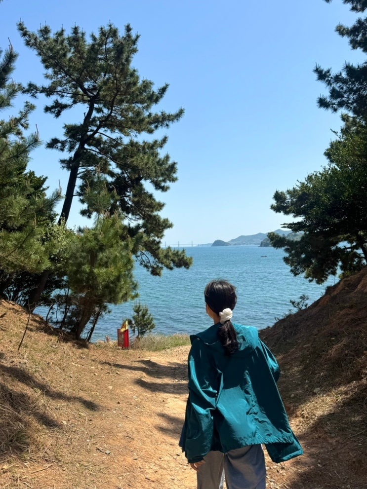  부산 근교 창원 여행 소쿠리섬 가는 방법 배편 시간 정보 매점