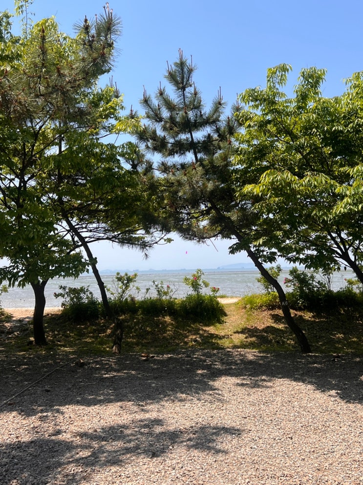  안산 캠핑장 | 비치캠핑장 재방문, A6 후기