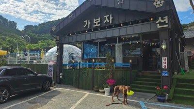 사진 7