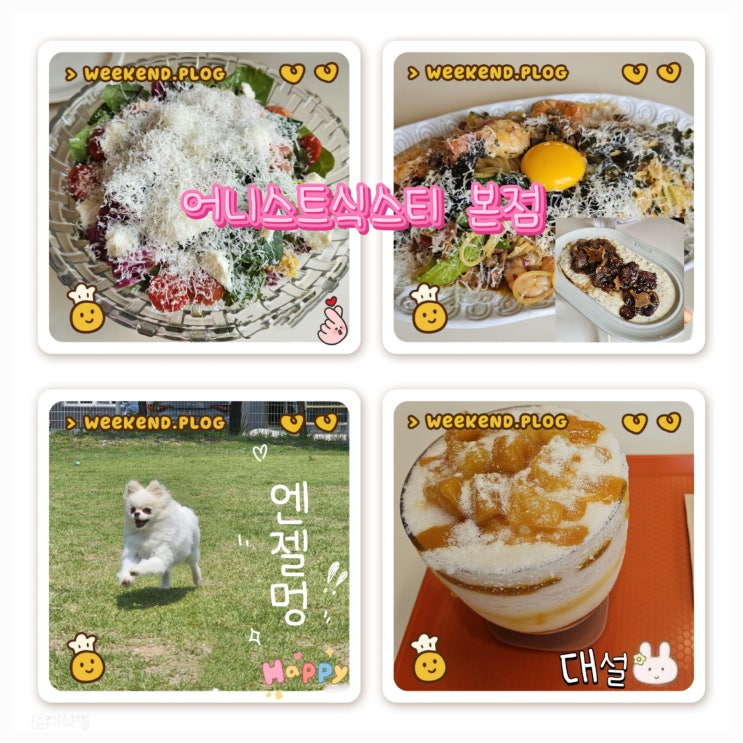  [ 광주 수완 ] 추천받은 양식집 ' 어니스트식스티 본점 ' ; 점보파스타, 시트러스 홈 치즈 샐러드, 레드와인 소꼬리 스튜 소꼬리 그리고 보리 & 빙수