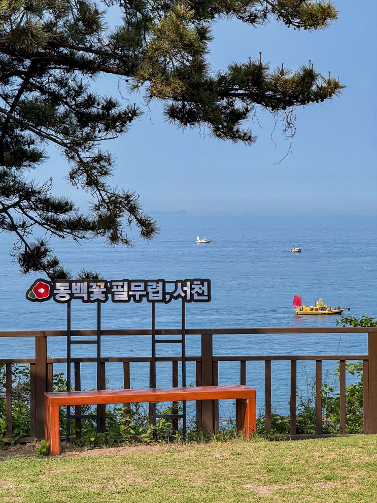  서천 가볼만한곳, 마량리 동백나무숲, 동백꽃이 없을 때 방문한 후기(주차, 입장료)