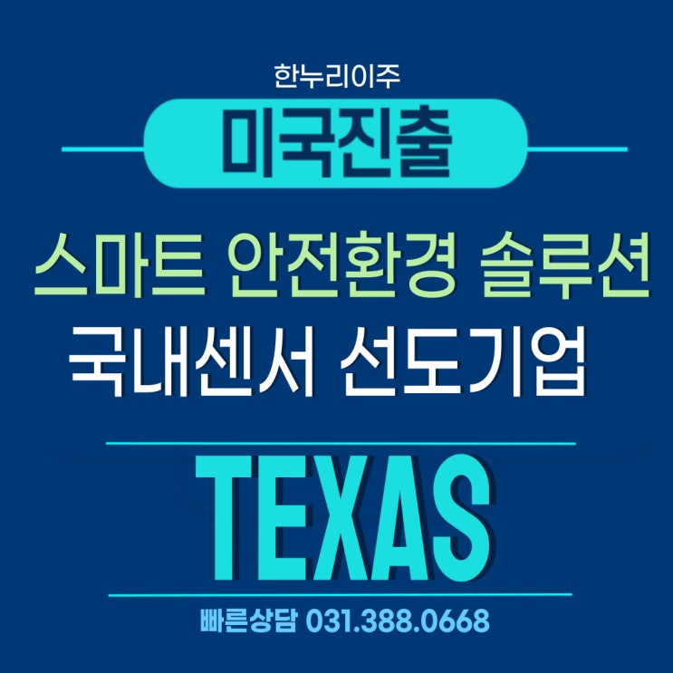  국내 센서 선도 기업의 텍사스주 법인설립 후 미국비자 진행중