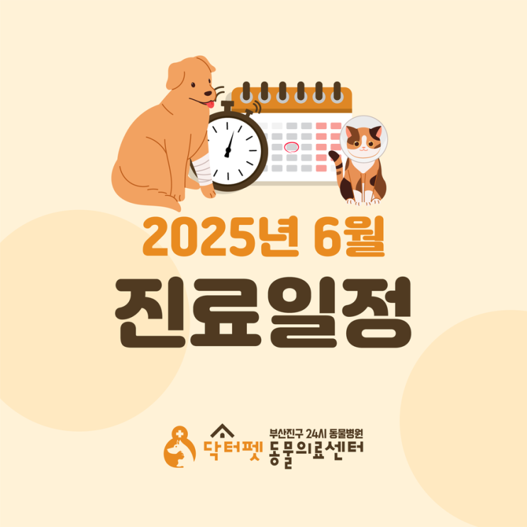  닥터펫동물의료센터 2025년 6월 진료 일정 및 스케줄 표 안내 (부산 24시 동물병원)