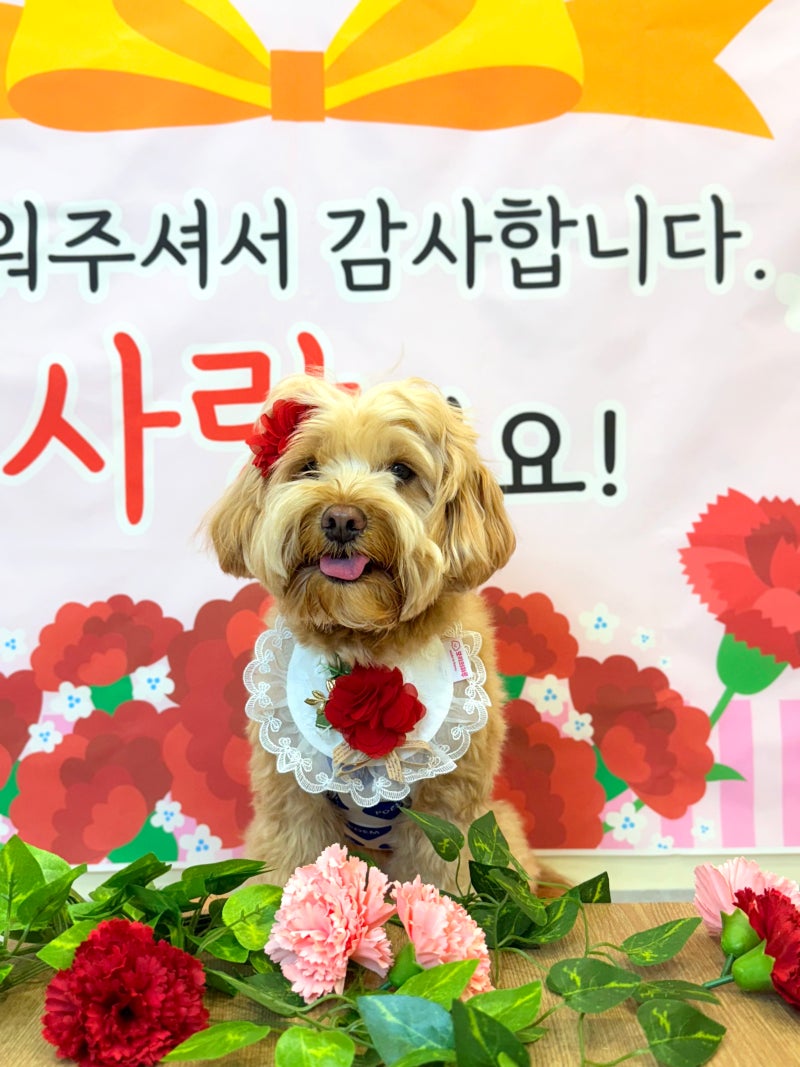 사진 2