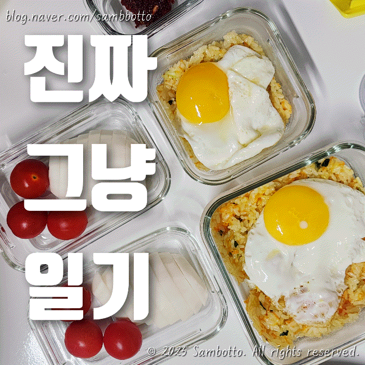  진짜 그냥 일기 | 맞벌이 부부의 삶! 도시락 싸고, 미용실 갔다가, 귀염뽀짝 소품샵 갔다가, 드디어 SKT유심 바꾸고, 솥뚜껑 삼겹살 묵었다