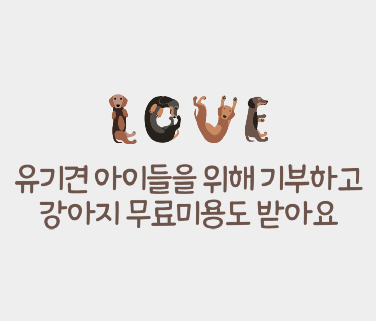 유기견 기부하고 천호동 강아지 무료미용 받아요