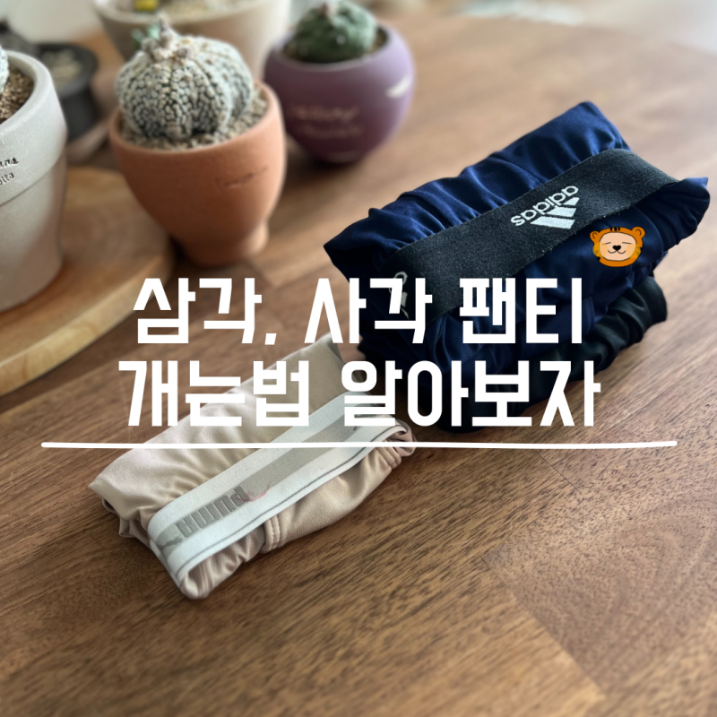 삼각 팬티 접는법 남자 드로즈 개는법!