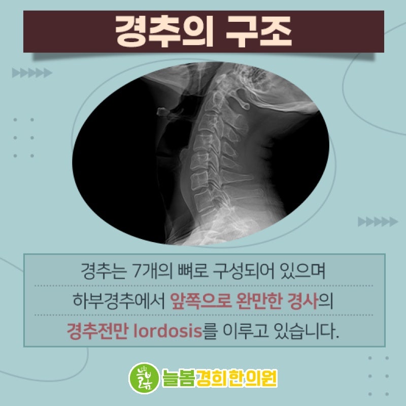 늘봄경희한의원 사진 2