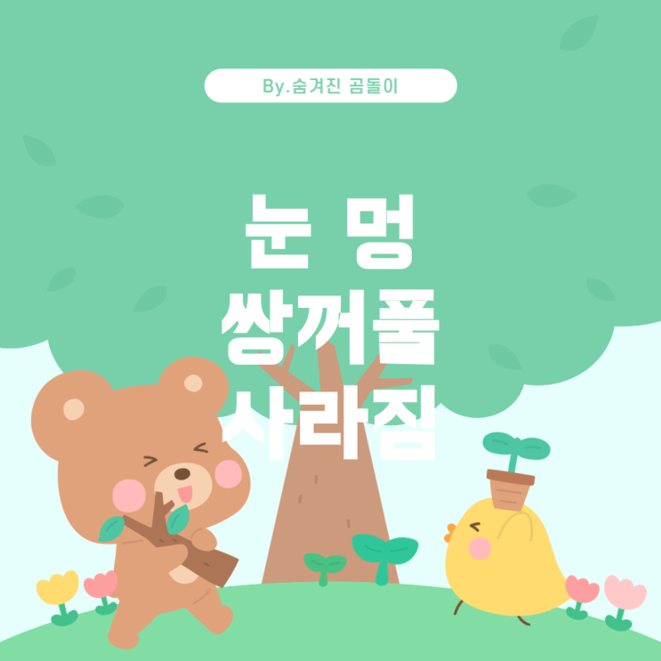  눈에 멍 든 느낌과 쌍꺼풀 사라짐: 원인과 해결책