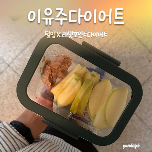  [탈잉, 이유주다이어트] 운동해도 안 빠지던 그 구간, 드디어 돌파!