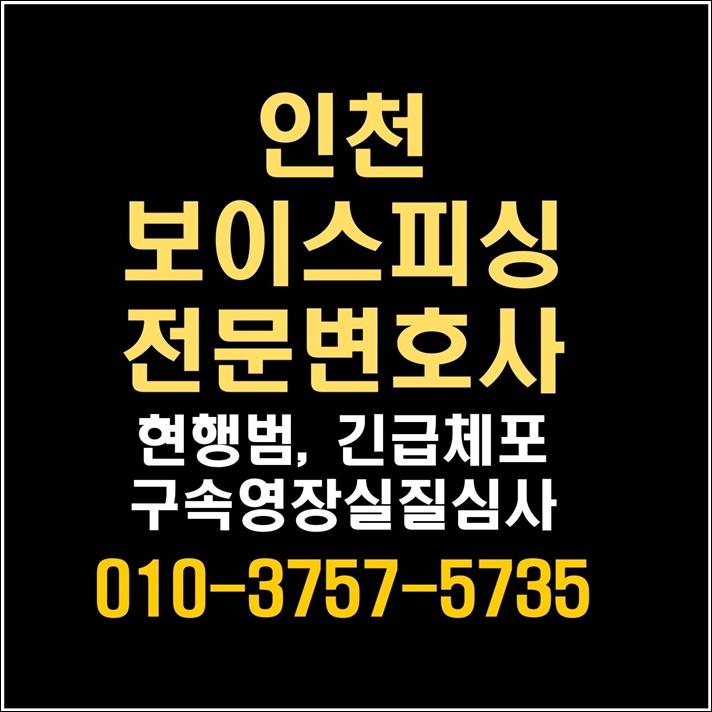 전달책, <b>구속</b>영장실질<b>심사</b>에서 살아나는 법 - 전문 변호사의... 