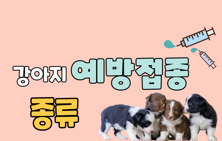  강아지 예방접종의 종류와 시기를 알아보아요