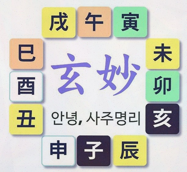  인생 전환점을 위한 정밀 사주 상담, 보타점 사주팔자어플