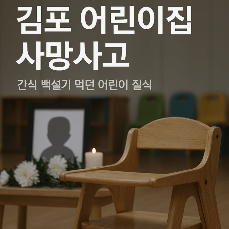 [추모]️ 김포 <b>어린이집 백설기 질식사고</b> 타임라인