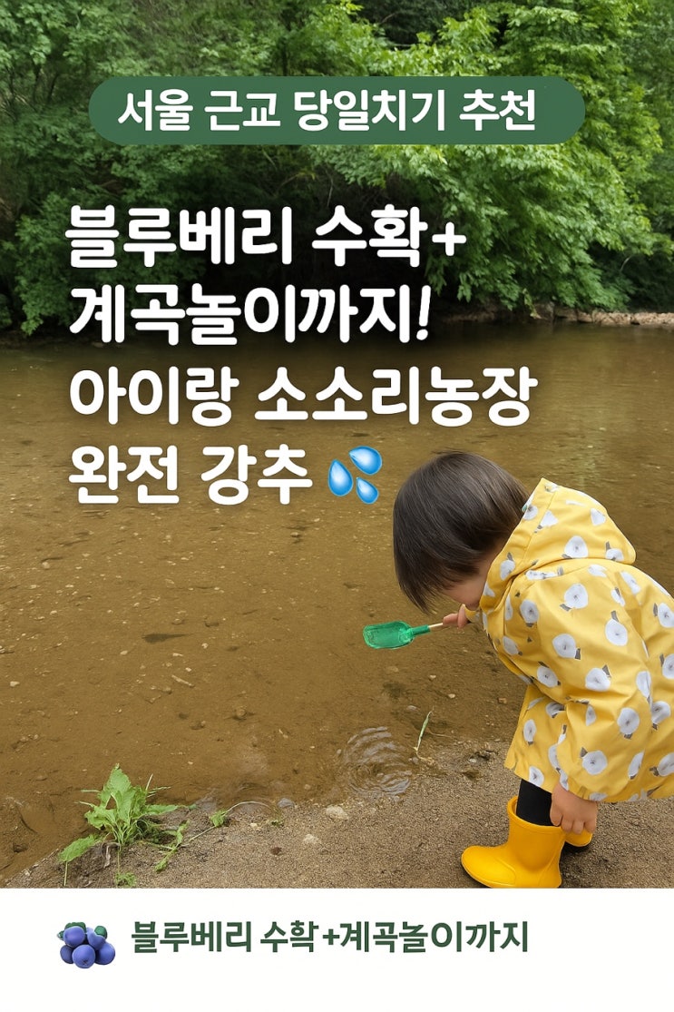 블루베리 수확+계곡 놀이까지! 남양주 소소리 농장 아이와 나들이 추천해요