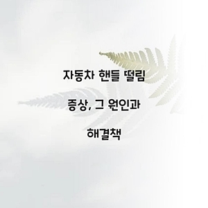 자동차 핸들 떨림 증상, 그 원인과 해결책