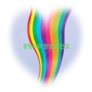 중형차의 장점과 단점