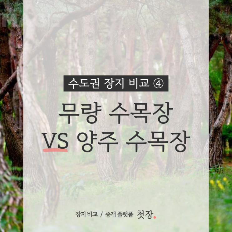  남양주 무량수목장 vs 양주 하늘계단수목장 가격·조건 비교해 드립니다.