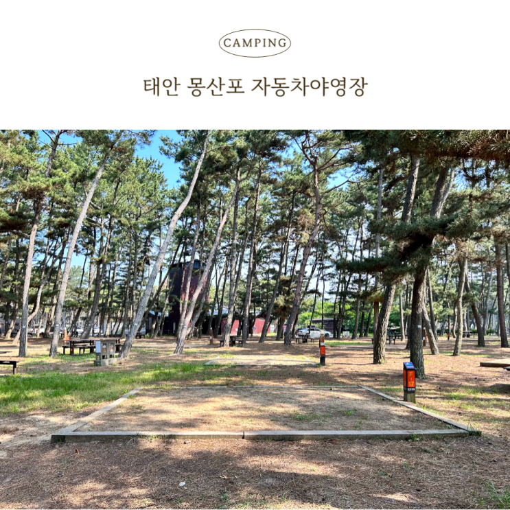  태안 몽산포자동차야영장 2박 3일 캠핑 후기
