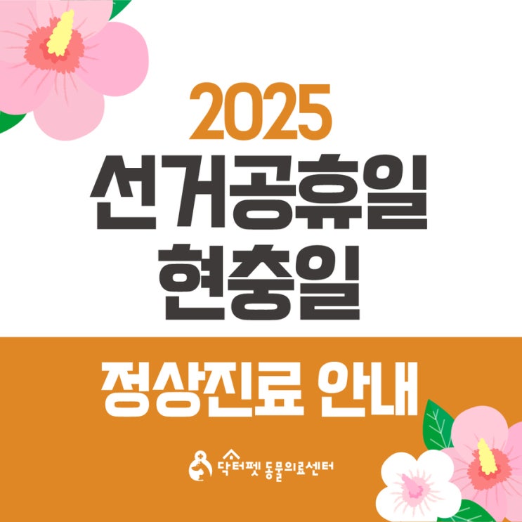 닥터펫동물의료센터 2025년 선거 임시공휴일(6.3 화) 현충일(6.6 금) 정상진료 안내 (부산 빨간날 일요일 연휴 24시 응급 동물병원 강아지 고양이)