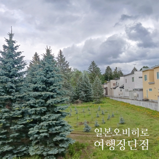  일본 오비히로 3박4일 후기 l 호불호가 매우 갈릴 여행지