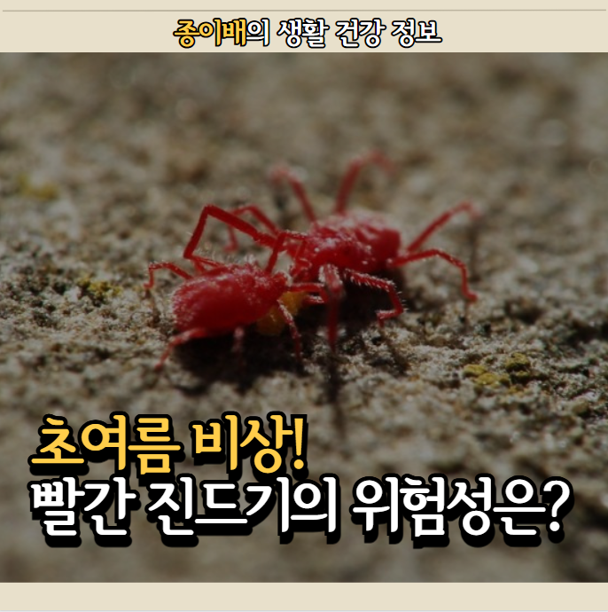  초여름 극성! '빨간 진드기'의 위험성 미리 숙지하세요!