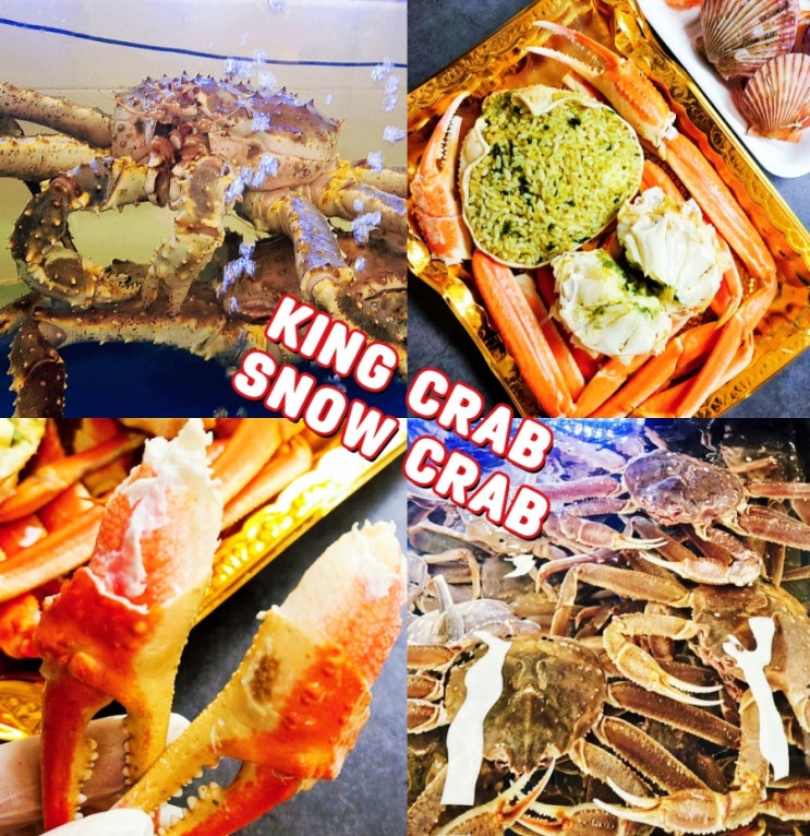 킹크랩시세 대게시세 지금 최저가는 이거! 킹크랩시세 대게시세 지금 최저가는 이거!