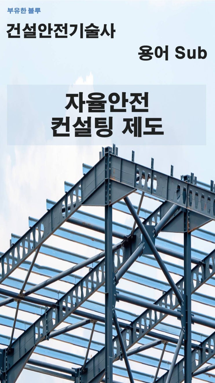  건설안전기술사(용어 서브노트) - 자율안전 컨설팅 제도