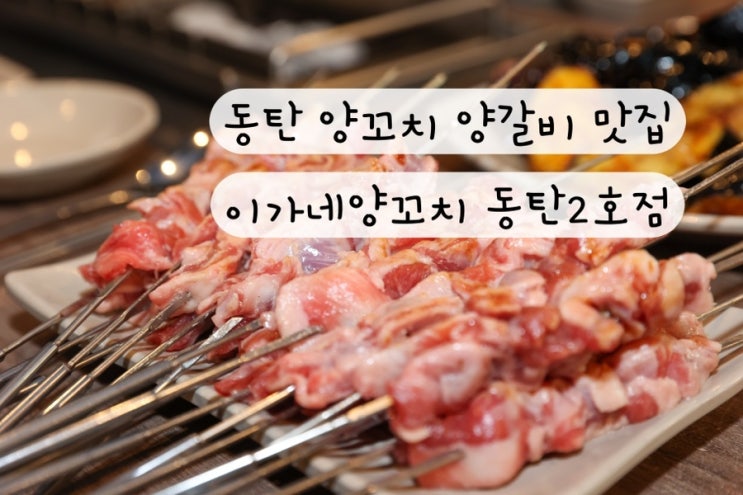  [화성 동탄] 양꼬치 양갈비 양갈비살꼬치 양등심꼬치 꿔바로우 지삼선 중국집 동탄맛집 이가네양꼬치 동탄2호점