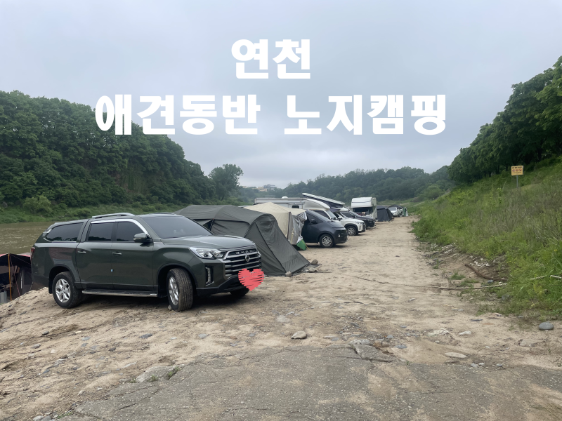 연천 한탄강 애견동반노지캠핑장 정보