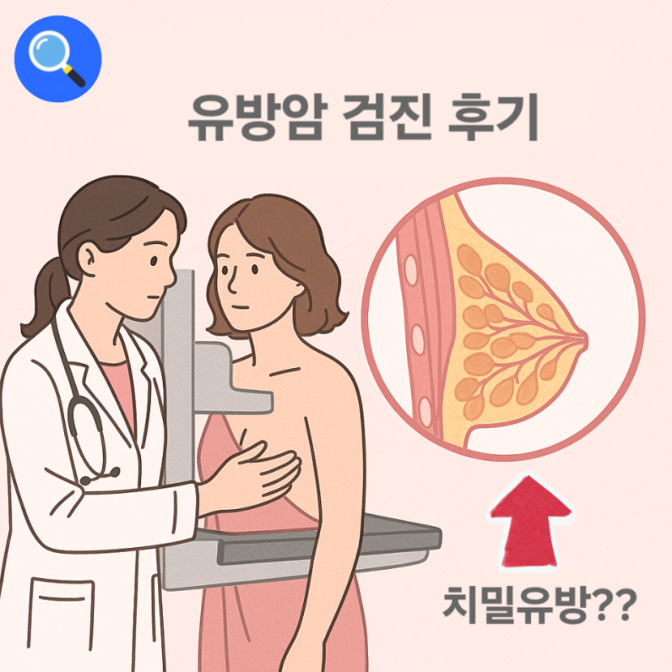 유방암 첫 검진후기 치밀유방 판정받음 그게뭘까?