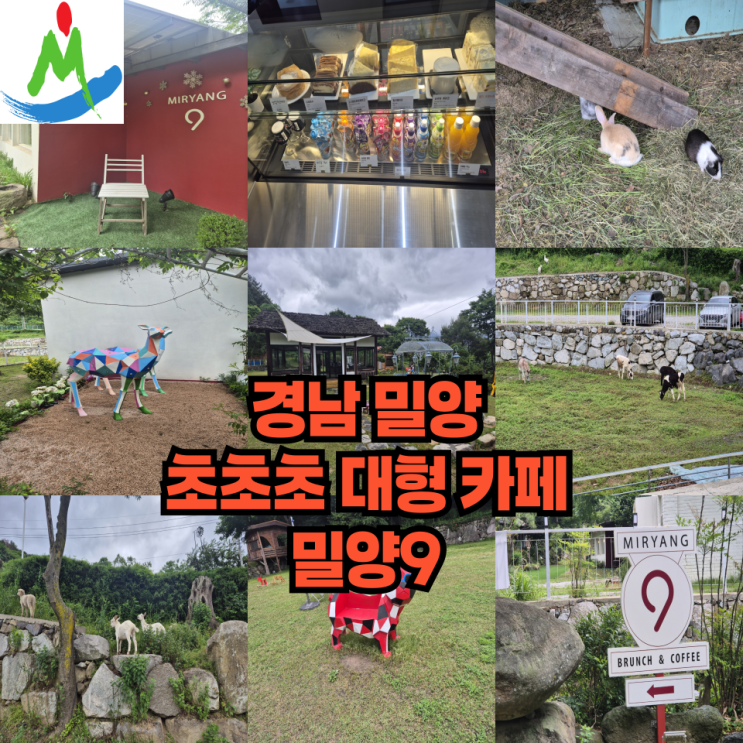  경남 밀양 초대형 카페로 밀양9를 추천하는 이유