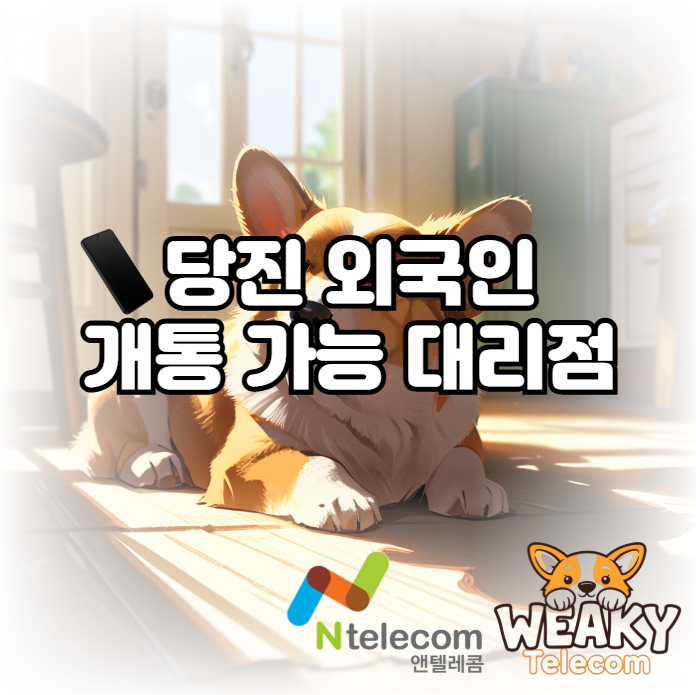  당진에서 외국인 개통을 위해 대리점을 찾고 있다면?