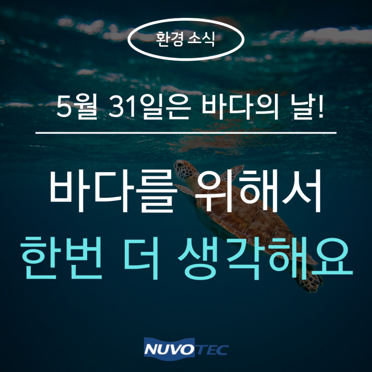  [환경소식#5] 5월 31일, 바다의 날이 생긴 이유를 알려드려요!