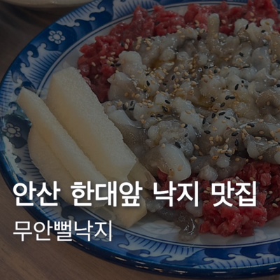  [안산] 한대앞역 산낙지 맛집 무안뻘낙지 낙지샤브샤브 탕탕이