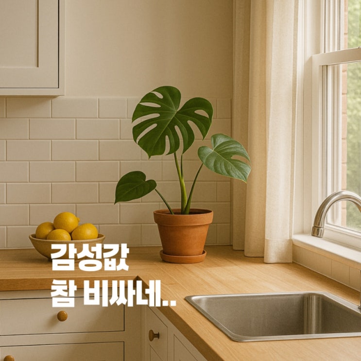  플랜테리어 감성은 있는데 '이건' 각오하세요