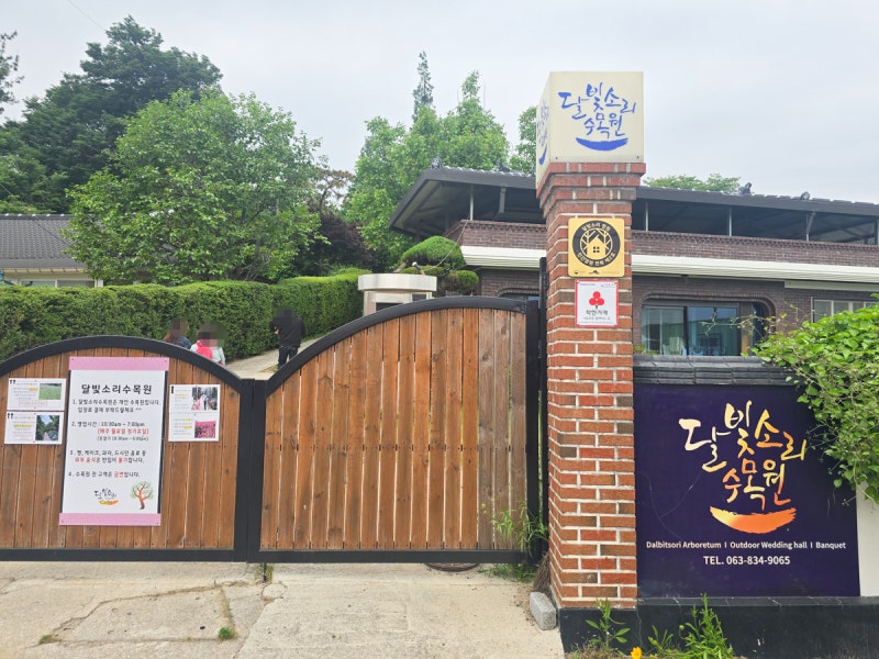 사진 9