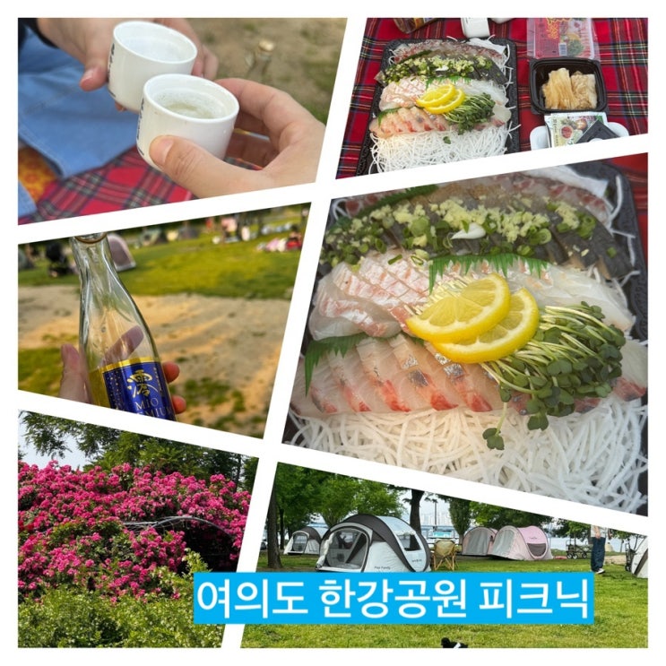  여의도한강공원 낭낭한 피크닉 맛있는 회