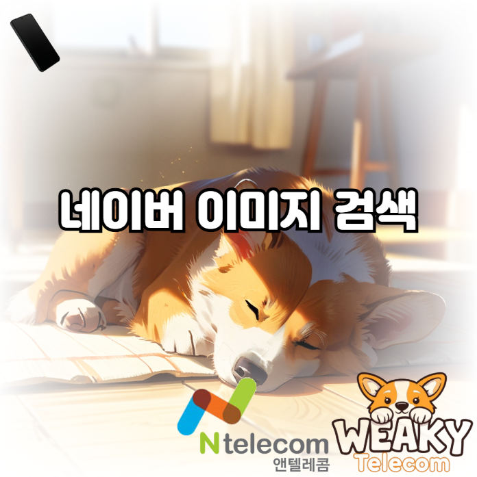  네이버 이미지 검색 빠르고 간단하게 하는 방법 알아보기